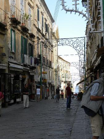Tropea