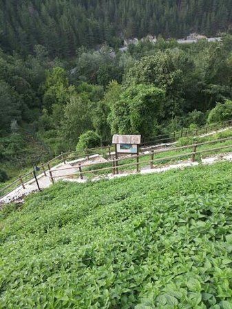 Area Faunistica Lince