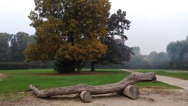 Parco Boscoincittà