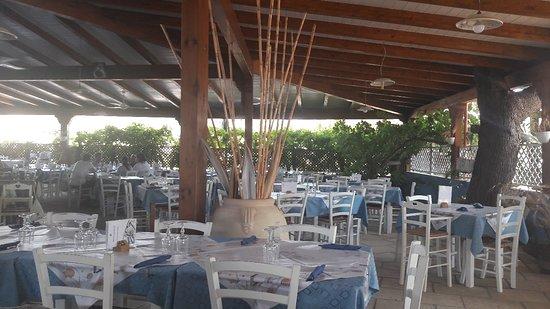 Blue Marlin