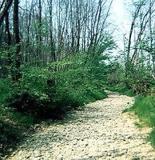 Parco del Rio Vallone