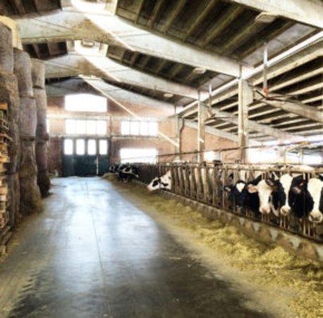 Azienda Agricola Passini