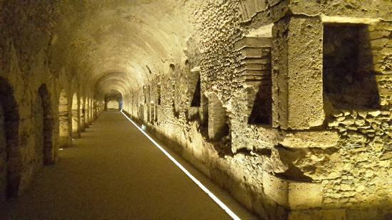 Criptoportico Forense
